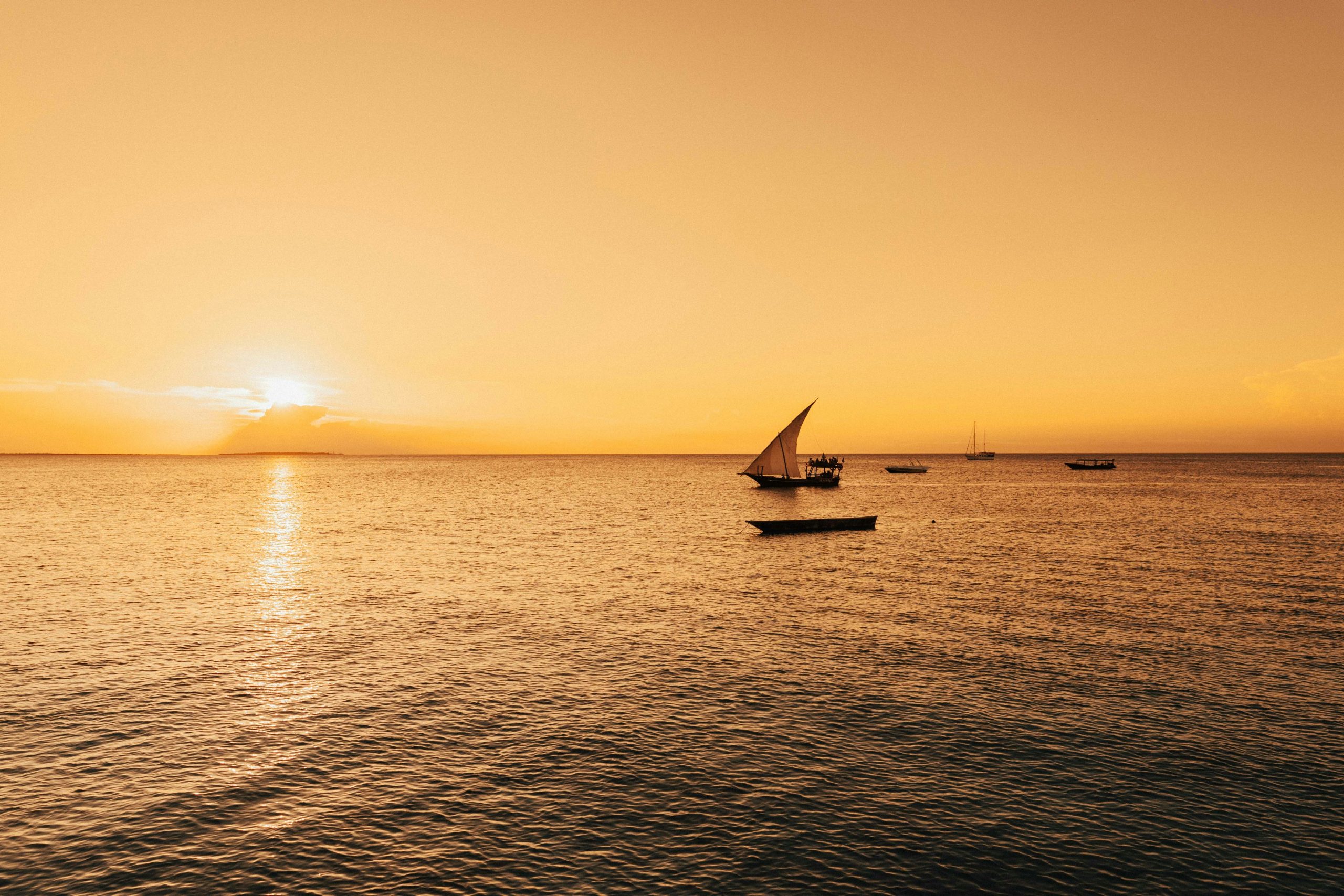 humphrey m e5hzqubib68 unsplash