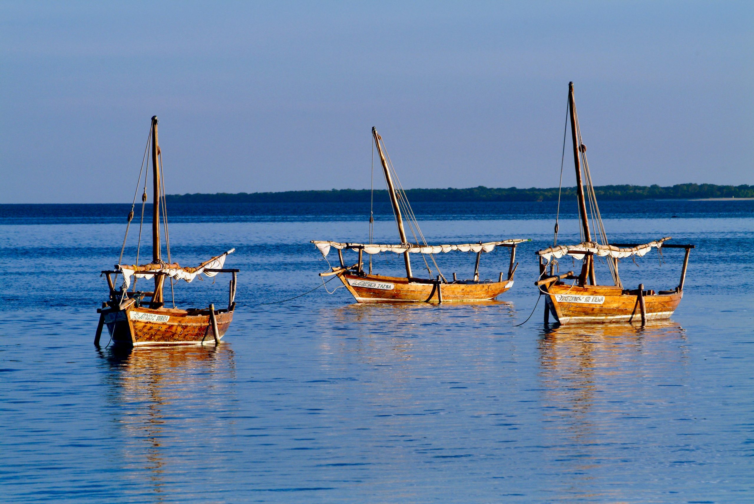 szabolcs varnai ow 5cetuo54 unsplash